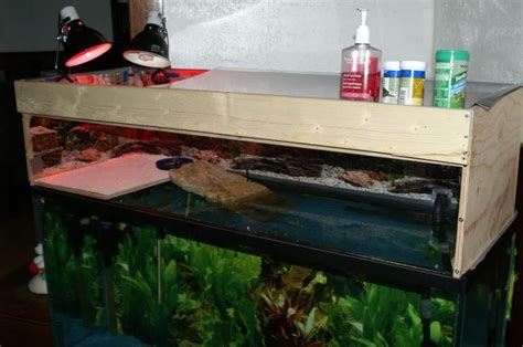 Above Tank Turtle Basking Platform Diy Sliders First Visit To Acrylic