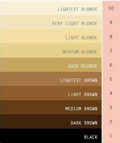 The touches of blonde catch light in a way flat brown hair can't. What's the difference between very dark blonde and light ...
