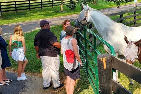 Unique Horse Farm Tours Lexington 2022 What To Know Before You Go