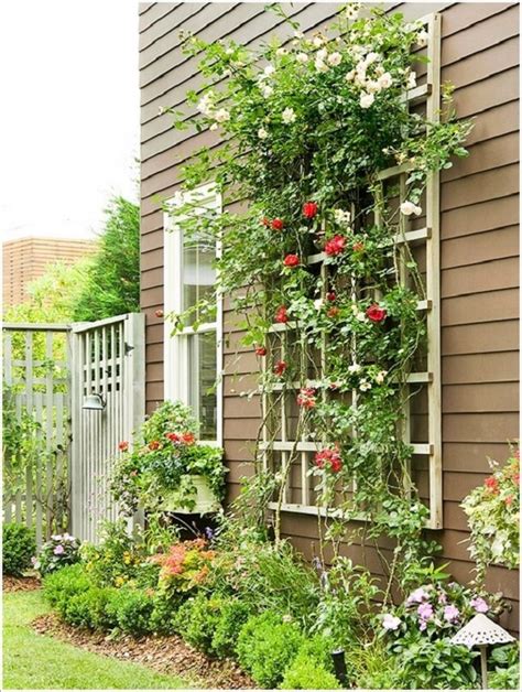 I'd put an extension of the trellis attached at a 90 degree a leaning trellis should be nine or ten inches at the base and can lean or be nailed to your house or barn. 10 Ideas Involving Trellis That Beautify Your Home