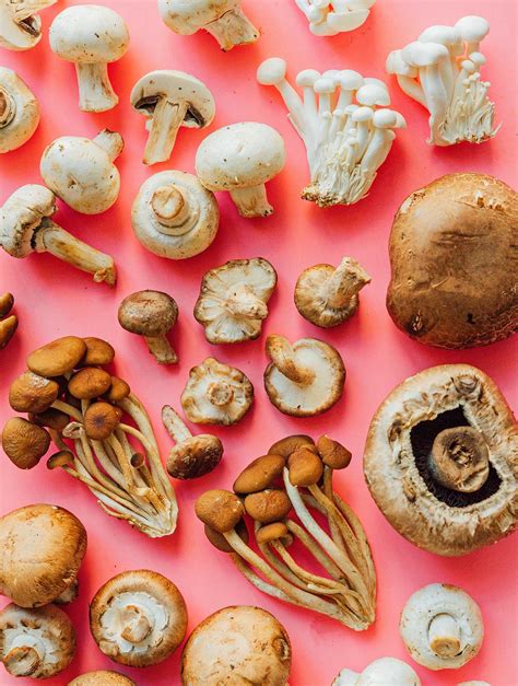 Common Types Of Mushrooms And How To Use Them Live Eat Learn My Xxx