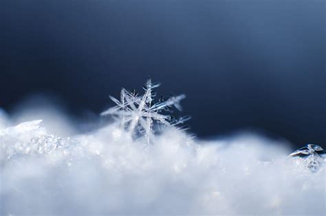 Snowflake Up Close Wallpapers Wallpaper Cave