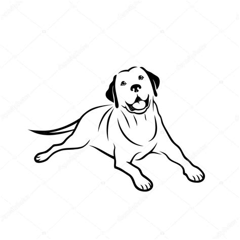 Labrador Retriever Drawing At Getdrawings Free Download