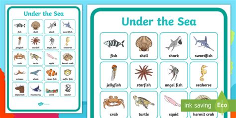Under The Sea Vocabulary Poster Teacher Made