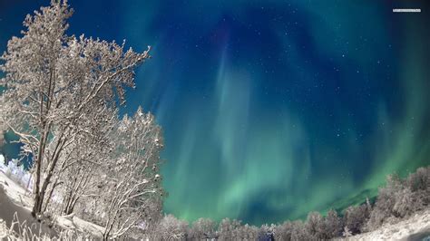Northern Lights Wallpaper ·① Download Free Cool High