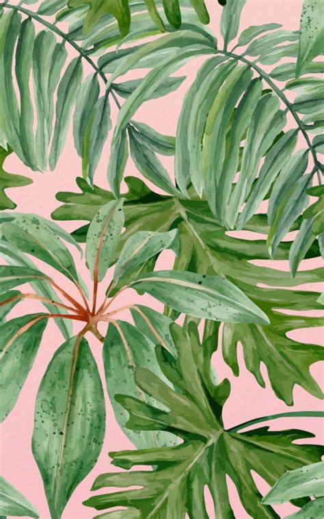 Aesthetic white background 5 » background check all. Free download Plant Aesthetic Wallpapers Top Plant ...