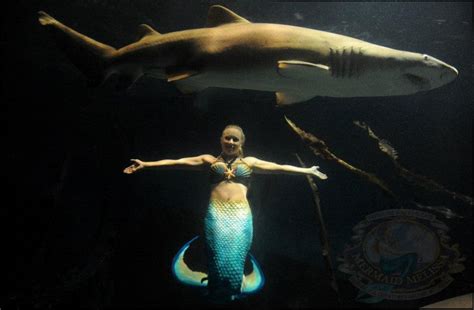Real Life Mermaid Melissa Underwater Performer And Pro Free Diver