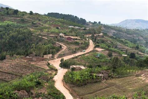 Campagne de reboisement au Rwanda pour lutter contre l'érosion et l ...