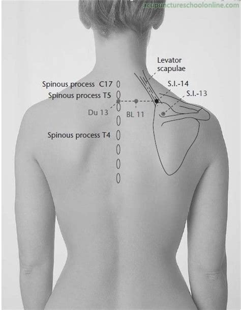 Si 14 Outer Shoulder Shu Acupressure Treatment Acupuncture Points Acupuncture Benefits