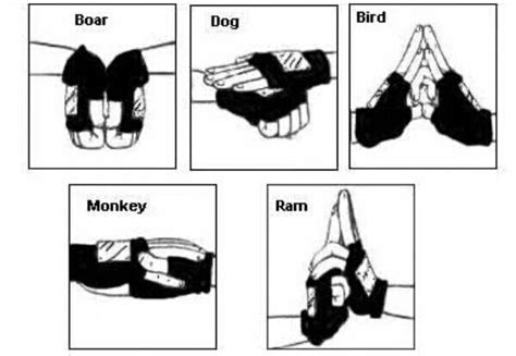 Summoning Jutsu Hand Signs Steps Vrogue Co