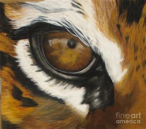 Tiger Eye Pastel By Ann Marie Chaffin
