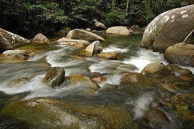 Alam semulajadi dan pelbagai sifat bukan sahaja pelbagai flora dan fauna, tetapi juga fenomena luar biasa, unik dan hebat. HAK PENGGUNA: PEMELIHARAAN DAN PEMULIHARAAN ALAM SEKITAR