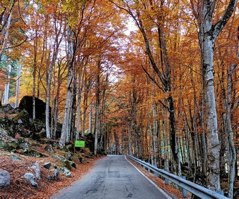 Foresta Regionale Val Masino Porte Di Valtellina