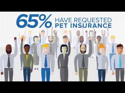 Today, they still offer car insurance policies, but their portfolio diversified to include life, pet, farm, motorcycle, commercial. Nationwide Pet Insurance - YouTube