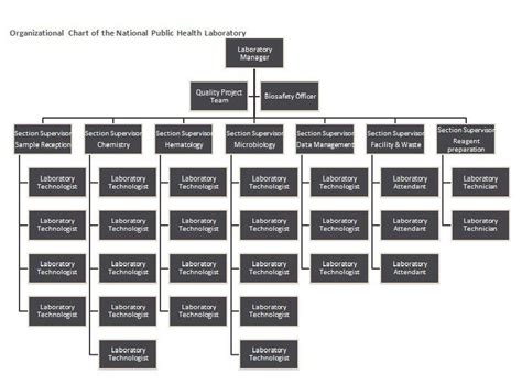 Organizational Chart Template 10 Organizational Chart Organizational