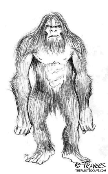 236 x 300 file type: bigfoot drawing - Google Search | Bigfoot drawing, Bigfoot ...