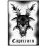 Capricorn An Art Print By DarkLetter Books  Zodiac
