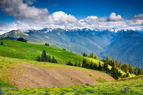 It can be accessed by road from port angeles and is open to hiking, skiing, and snowboarding. Top Wow Spots of Olympic National Park - Sunset Magazine