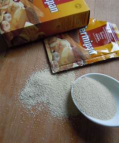 Perbedaan Fermipan Dan Ragi Instan