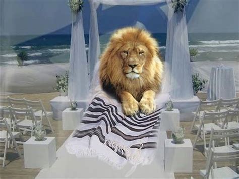 Zitzit Archives Mini Manna Moments Lion Of Judah Jesus King Jesus