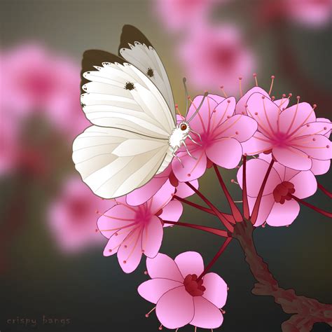 White Butterfly On A Pink Flower By Cocteautwins On Deviantart