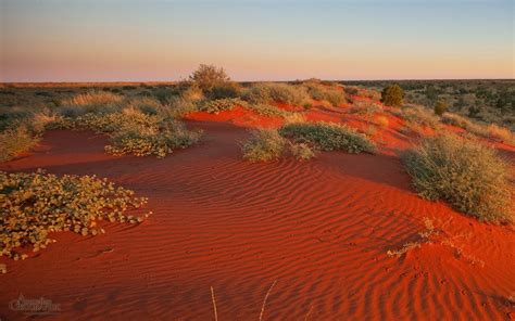 Red Dunes Simpson Desert Australian Geographic Australian Desert