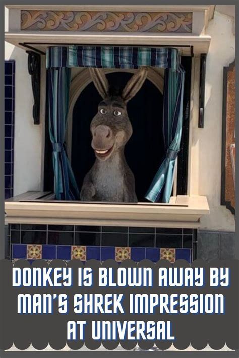Donkey Is Blown Away By Mans Shrek Impression At Universal Inside