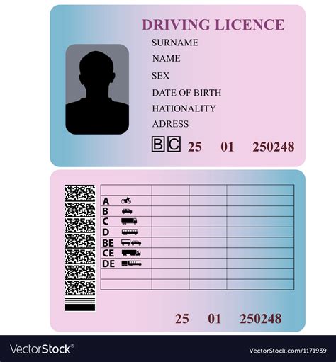 Drivers Licence Template 2 Svg Drivers Licence Svg Id Svg Etsy Images