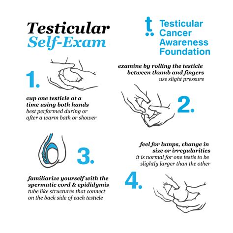 Using the thumb and fingers, check for any swelling in this area. Testicular Self-Exams — Testicular Cancer Awareness Foundation