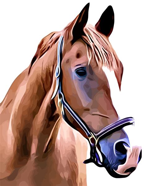 Brown Horse Portrait By Opalepbhia