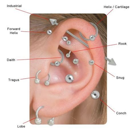 Cool Pierceings Ear Jewelry Industrial Helix Tragus Cartilage