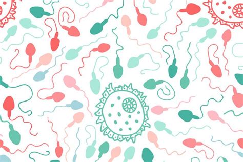 The Pros and Cons Of Gender-Neutral Parenting | Gender ...