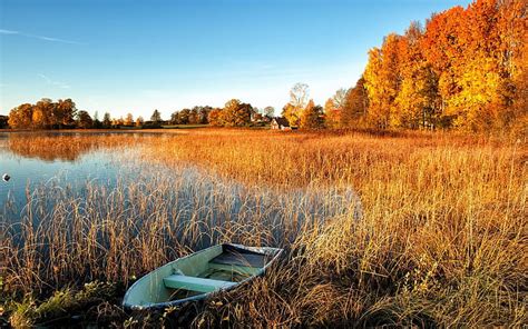 Hd Wallpaper Autumn Scenery Lake Water Grass Boat Trees House