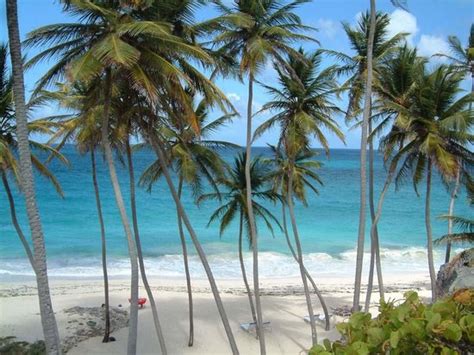 Bridgetown Tourism 2020 Best Of Bridgetown Barbados Tripadvisor