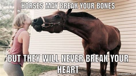 17 Equestrian Memes That Youll Love Horse Quotes Funny Funny Horse