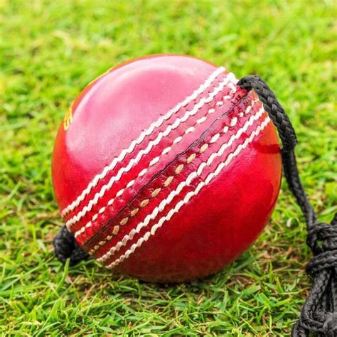 Fortress String Cricket Balls 2 Styles Net World Sports