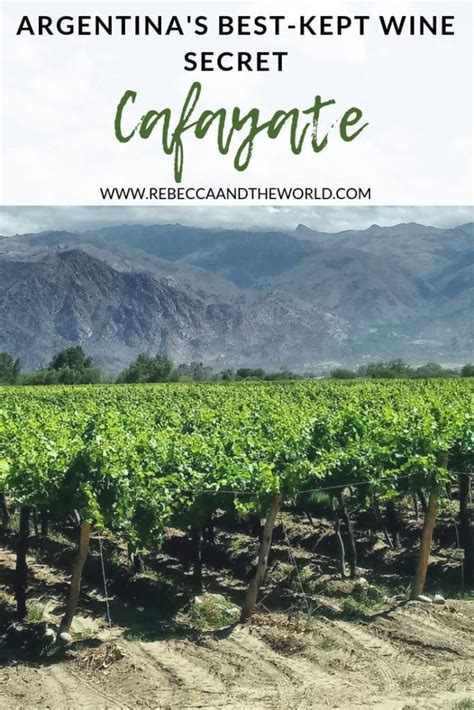 A Guide To The Cafayate Wine Region South America Travel Travel