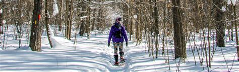 Snow Mazing Things To Do In Sault Ste Marie Ontario This Winter Ive