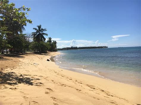 Playa Bonita Las Terrenas Dominican Republic Top Tips Before You Go