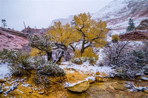 Winter Fine Art Landscapes Sony A7rii Zion National Park Flickr