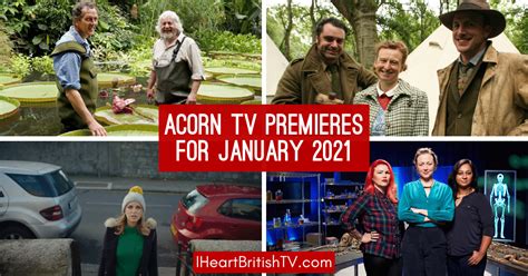 The 10 best tv shows of may 2021. January British TV Premieres: What's New on Acorn TV for ...
