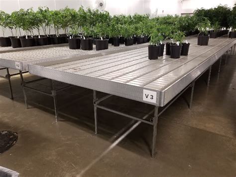 Ebb And Flow Rolling Benches Pure Hydroponics
