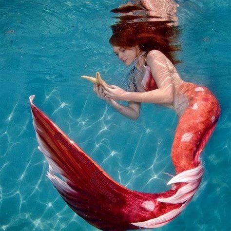 Pin By Sakisaka Marnie On Mermaid Mermaid Pictures Mermaid