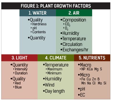 Plant Growth Factors Farmers Weekly