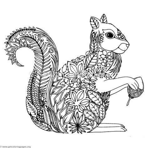 This picture is particularly good for your kid if he or she has just started holding crayons and is learning how to draw their first alphabet and shapes. Abstract Squirrel Coloring Pages - GetColoringPages.org