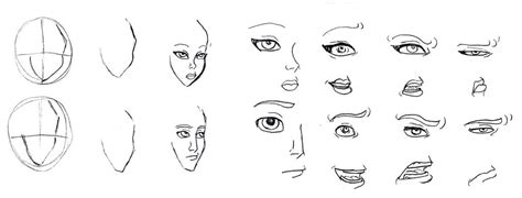 Tutorial Eyes Nose Mouth By Lily Pily On Deviantart