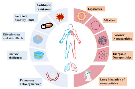 Ijms Free Full Text Nanomaterials For Delivering Antibiotics In The