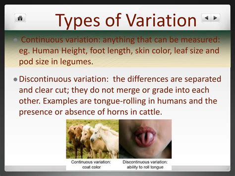 Ppt Heredity And Genetics Powerpoint Presentation Free Download Id