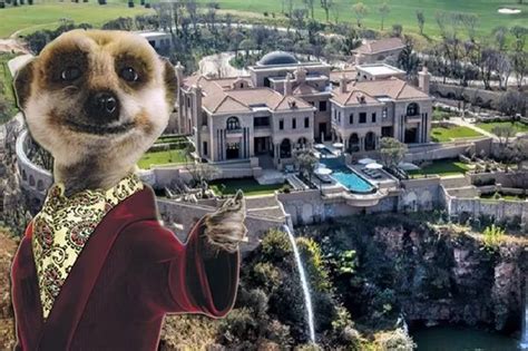 Meerkat Millionaire Splashes Out On One Of Worlds Biggest Homes
