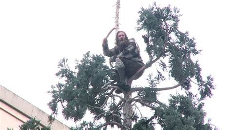 A Seattle Man Has Been Stuck In A Tree For 24 Hours And The Internet Is Freaking Out Sharp
